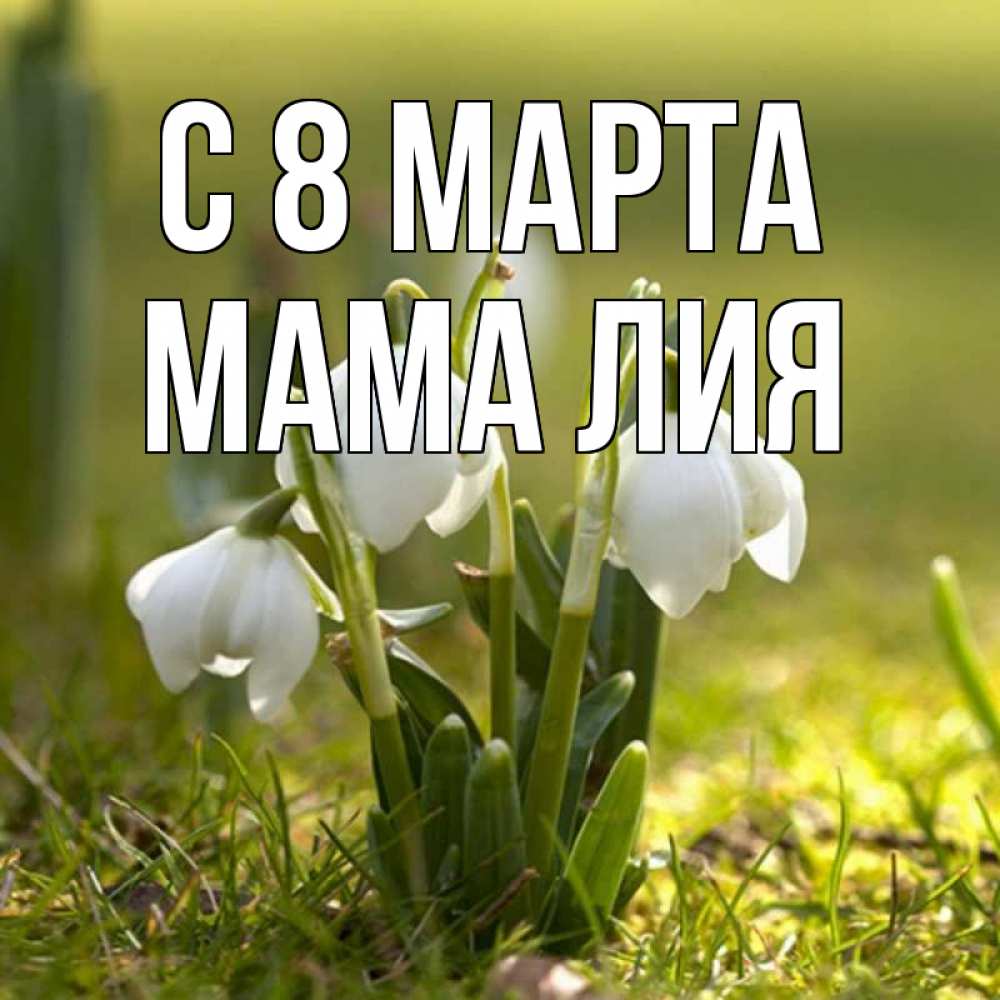 Открытка на каждый день с именем, Мама-Лия С 8 МАРТА ранние цветы 2 Прикольная открытка с пожеланием онлайн скачать бесплатно 