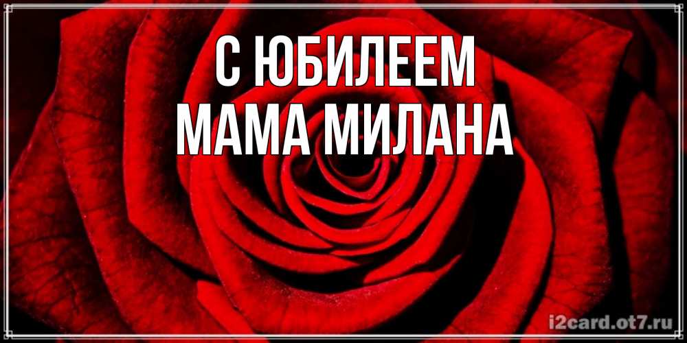Открытка на каждый день с именем, Мама-Милана С юбилеем алая роза Прикольная открытка с пожеланием онлайн скачать бесплатно 