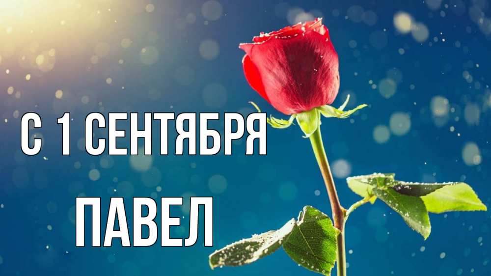 Открытка на каждый день с именем, Павел С 1 сентября с днем знаний Прикольная открытка с пожеланием онлайн скачать бесплатно 