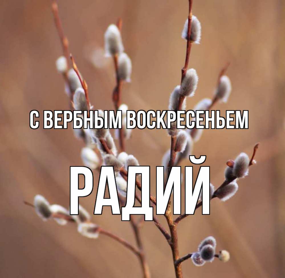 Открытка на каждый день с именем, Радий С вербным воскресеньем верба Прикольная открытка с пожеланием онлайн скачать бесплатно 