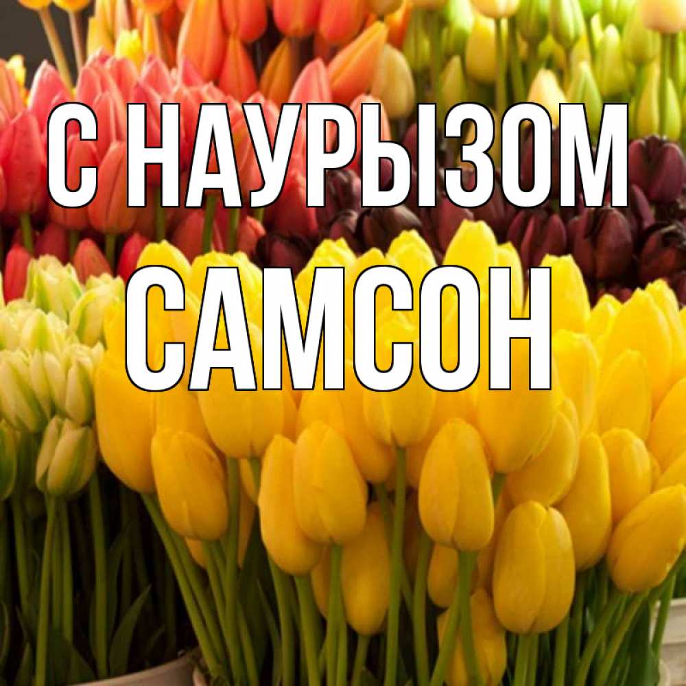 Открытка на каждый день с именем, Самсон С наурызом цветы Прикольная открытка с пожеланием онлайн скачать бесплатно 