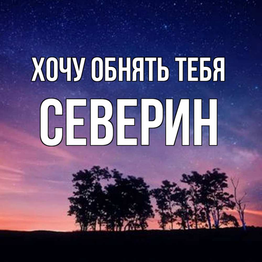 Открытка на каждый день с именем, Северин Хочу обнять тебя силуэты деревьев Прикольная открытка с пожеланием онлайн скачать бесплатно 