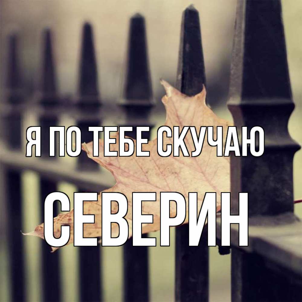 Открытка на каждый день с именем, Северин Я по тебе скучаю очень скучно Прикольная открытка с пожеланием онлайн скачать бесплатно 