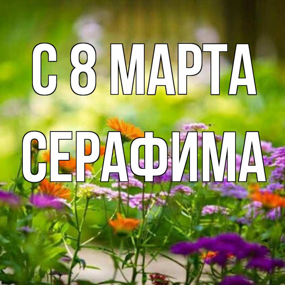 Открытка на каждый день с именем, Серафима С 8 МАРТА цветы Прикольная открытка с пожеланием онлайн скачать бесплатно 