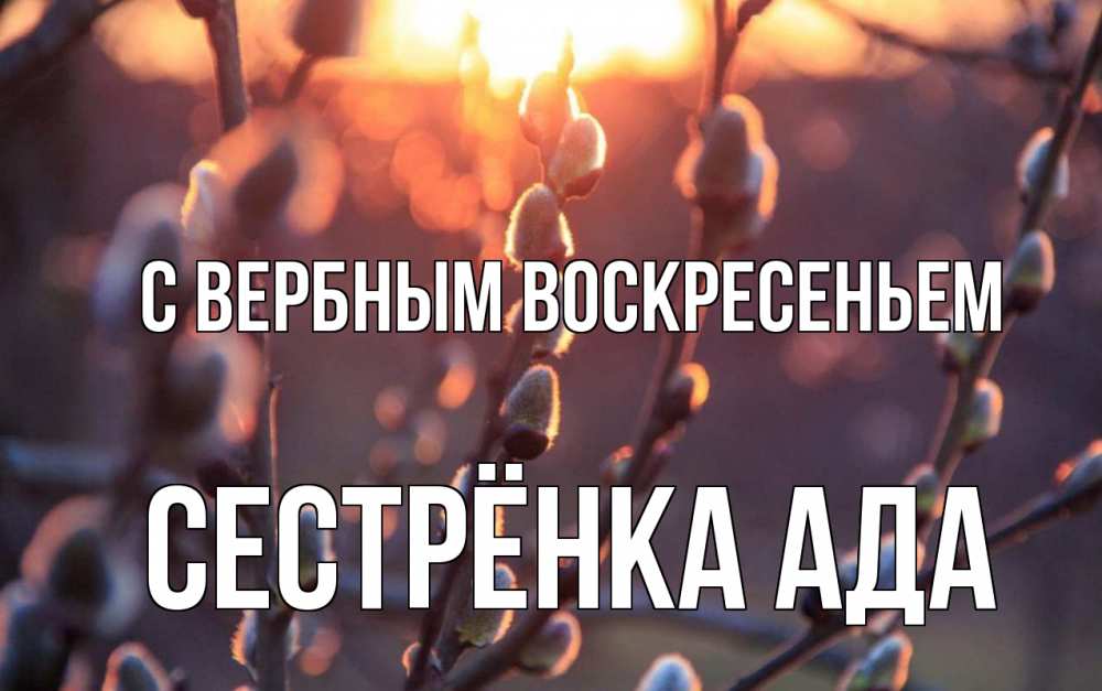Открытка на каждый день с именем, Сестрёнка-Ада С вербным воскресеньем верба Прикольная открытка с пожеланием онлайн скачать бесплатно 