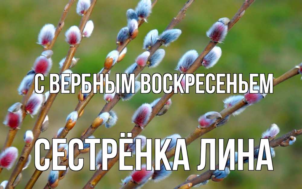 Открытка на каждый день с именем, Сестрёнка-Лина С вербным воскресеньем верба Прикольная открытка с пожеланием онлайн скачать бесплатно 
