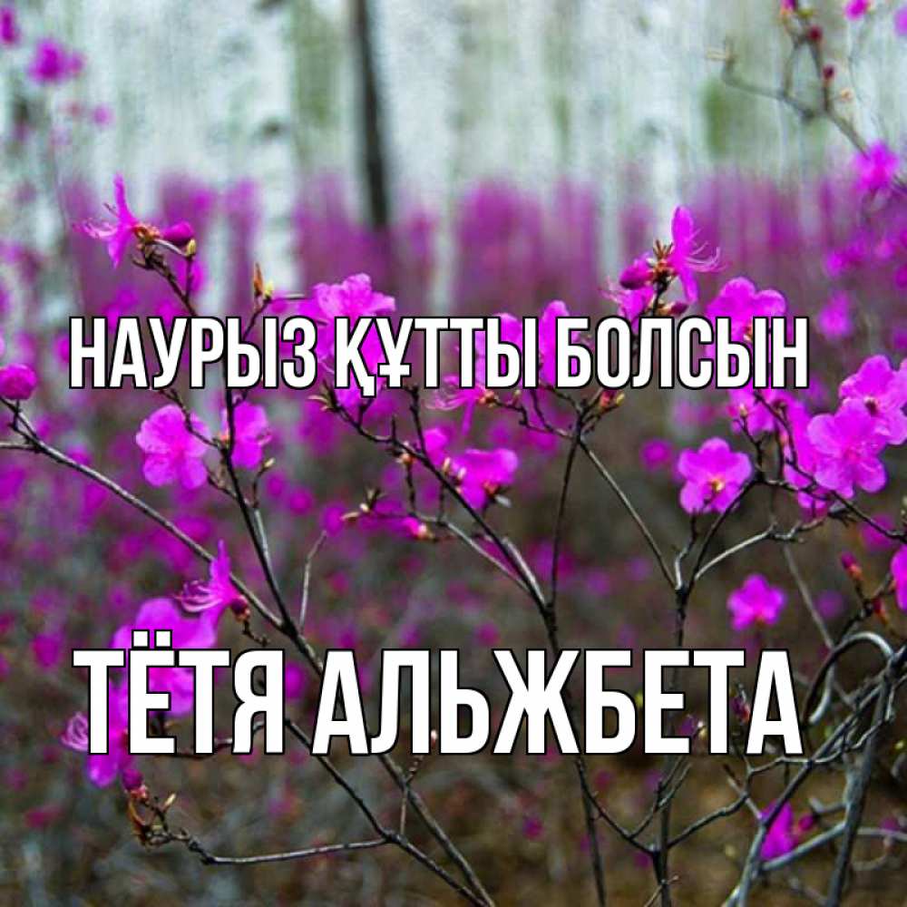 Открытка на каждый день с именем, Тётя-Альжбета Наурыз құтты болсын дикие цветы Прикольная открытка с пожеланием онлайн скачать бесплатно 