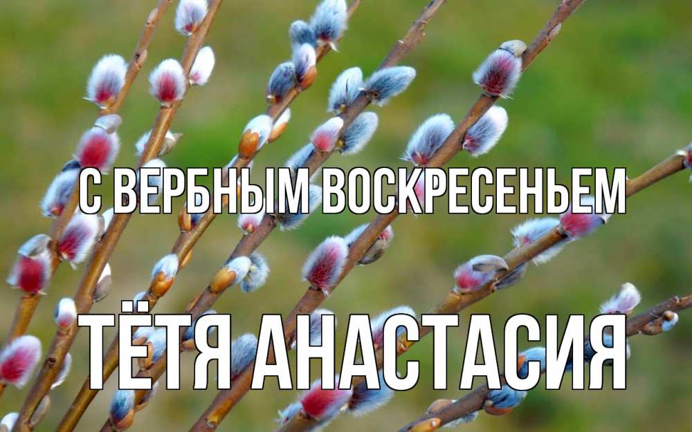 Открытка на каждый день с именем, Тётя-Анастасия С вербным воскресеньем верба Прикольная открытка с пожеланием онлайн скачать бесплатно 