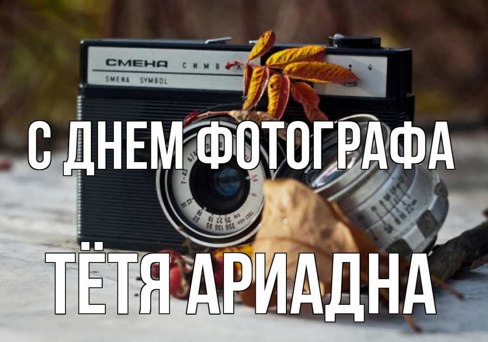 Открытка на каждый день с именем, Тётя-Ариадна С днем фотографа с днем фотографа Прикольная открытка с пожеланием онлайн скачать бесплатно 