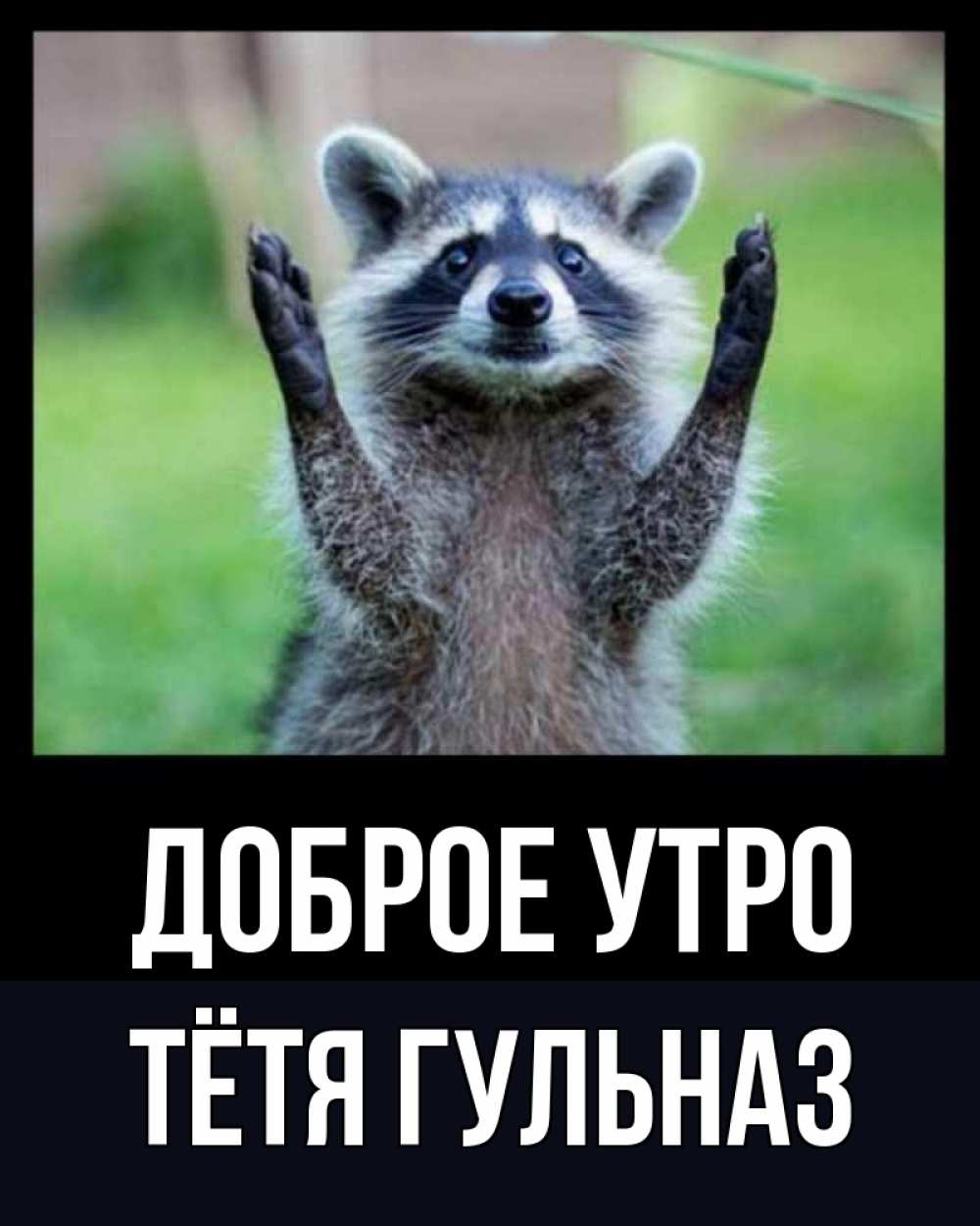 Открытка на каждый день с именем, Тётя-Гульназ Доброе утро хорошее настроение утречком Прикольная открытка с пожеланием онлайн скачать бесплатно 