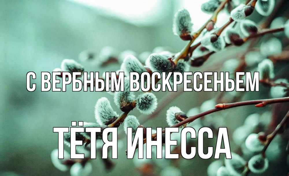 Открытка на каждый день с именем, Тётя-Инесса С вербным воскресеньем верба Прикольная открытка с пожеланием онлайн скачать бесплатно 