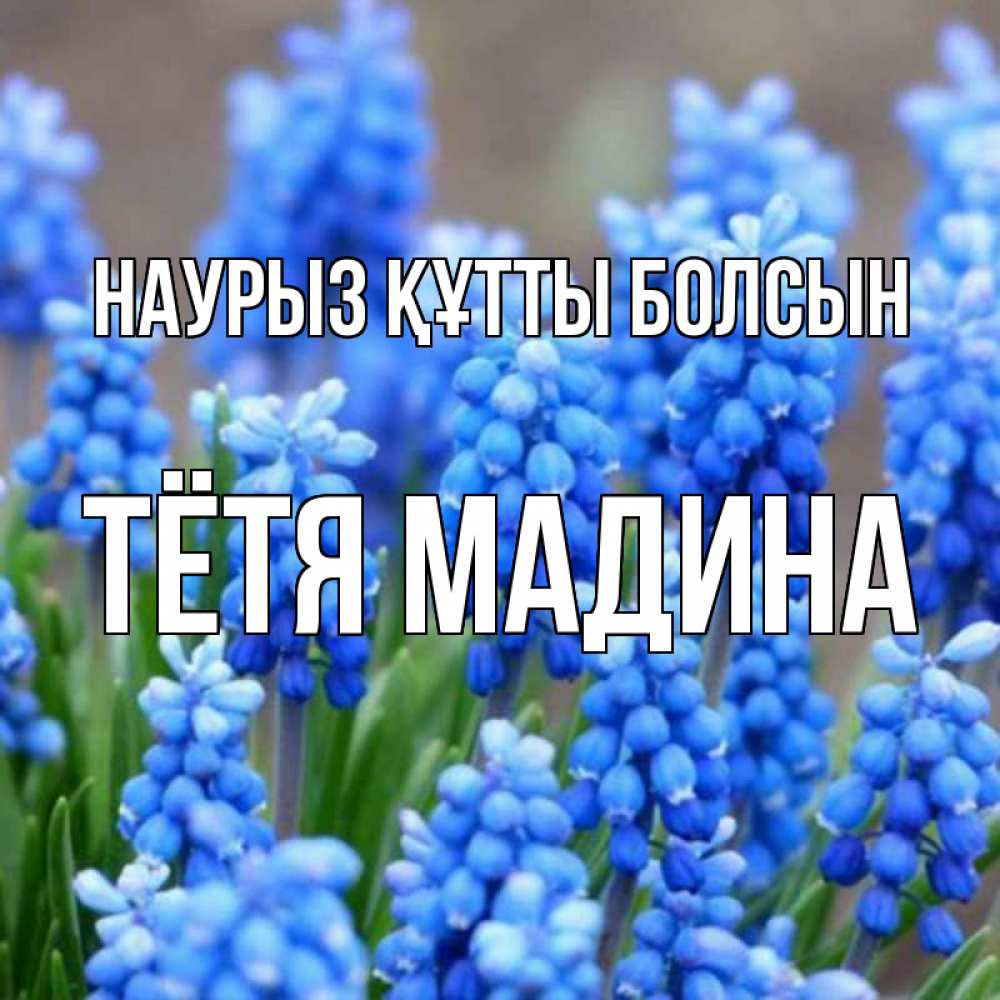 Открытка на каждый день с именем, Тётя-Мадина Наурыз құтты болсын Поздравительная открытка для женщин с цветами на праздничную дату Прикольная открытка с пожеланием онлайн скачать бесплатно 