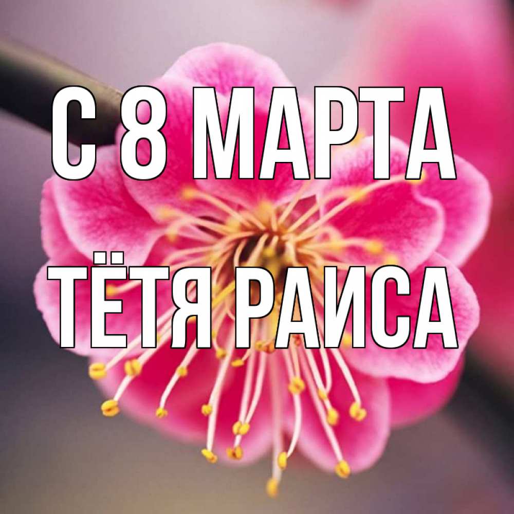 Открытка на каждый день с именем, Тётя-Раиса С 8 МАРТА цветы Прикольная открытка с пожеланием онлайн скачать бесплатно 