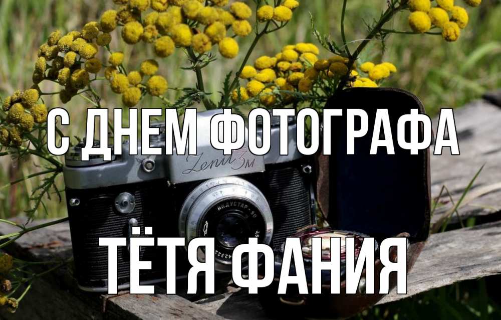 Открытка на каждый день с именем, Тётя-Фания С днем фотографа с днем фотографа Прикольная открытка с пожеланием онлайн скачать бесплатно 