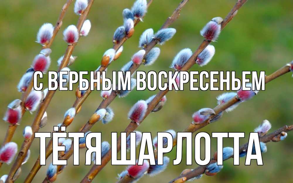 Открытка на каждый день с именем, Тётя-Шарлотта С вербным воскресеньем верба Прикольная открытка с пожеланием онлайн скачать бесплатно 