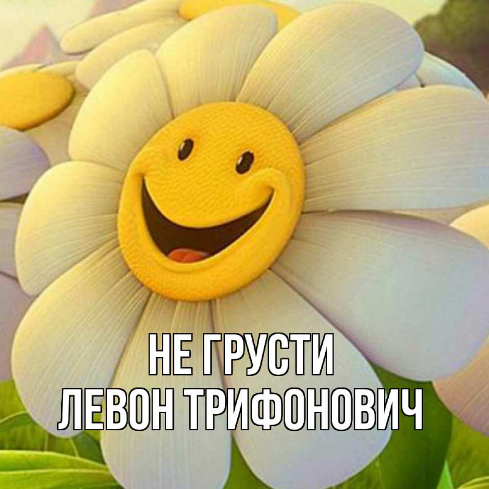 Картинка Не грусти, Левон Трифонович