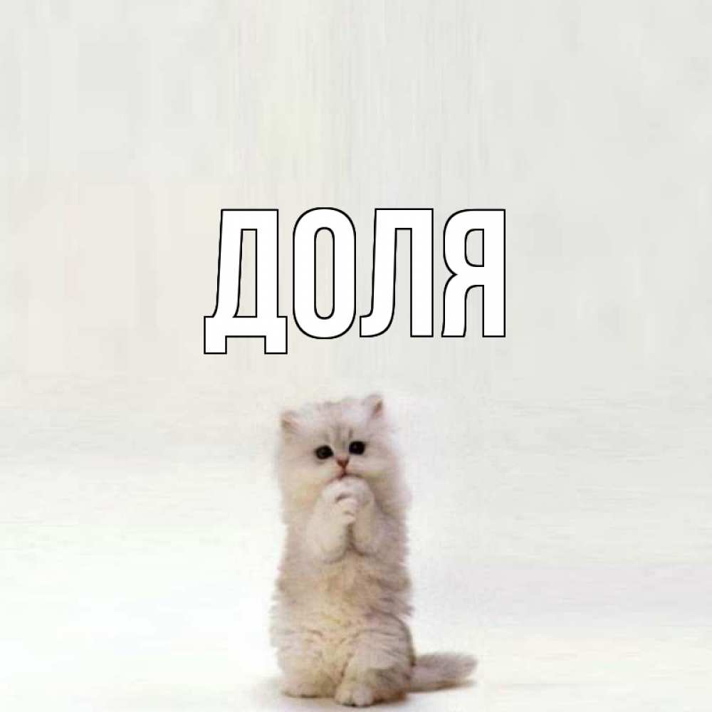 Открытка на каждый день с именем, Доля Главная кот стоит на задних лапах Прикольная открытка с пожеланием онлайн скачать бесплатно 