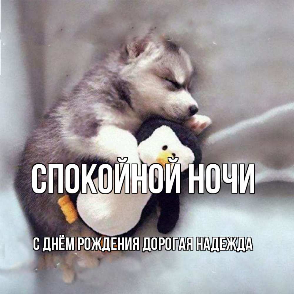 Картинка Спокойной ночи, С Днём Рождения, дорогая Надежда! 