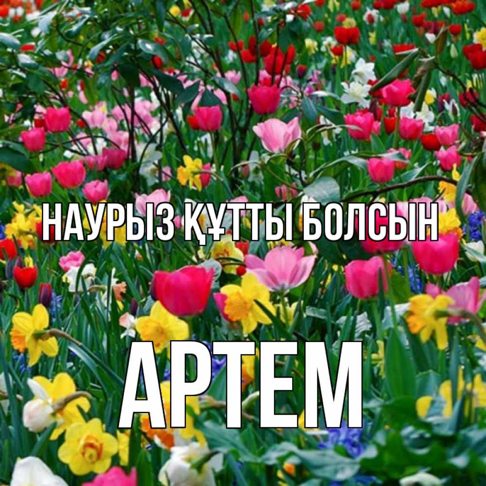 Открытка на каждый день с именем, Артем Наурыз құтты болсын с наурызом поздравления для женщины Прикольная открытка с пожеланием онлайн скачать бесплатно 