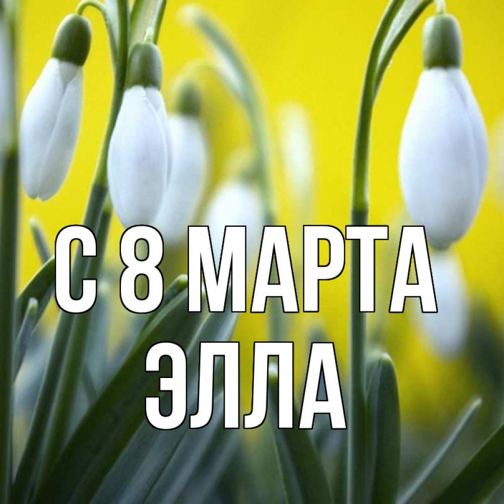 Открытка на каждый день с именем, Элла С 8 МАРТА весенние цветы Прикольная открытка с пожеланием онлайн скачать бесплатно 