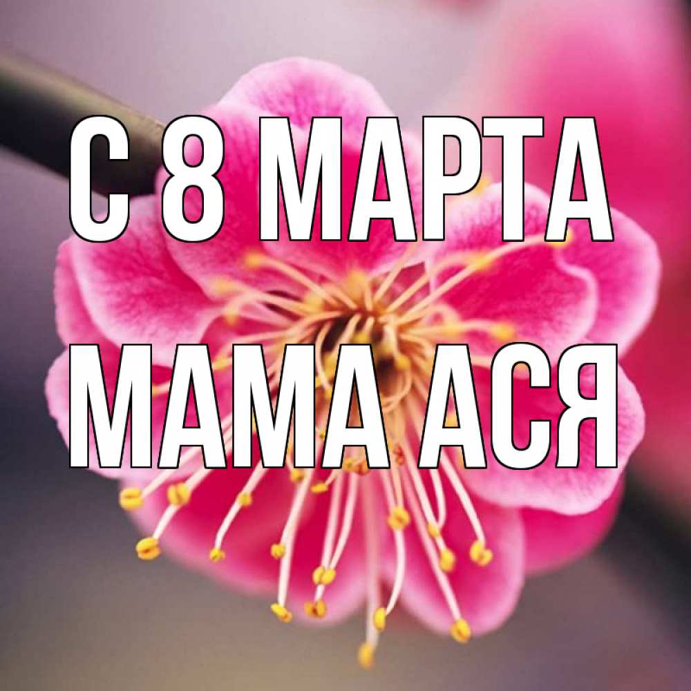 Открытка на каждый день с именем, Мама-Ася С 8 марта цветы Прикольная открытка с пожеланием онлайн скачать бесплатно 