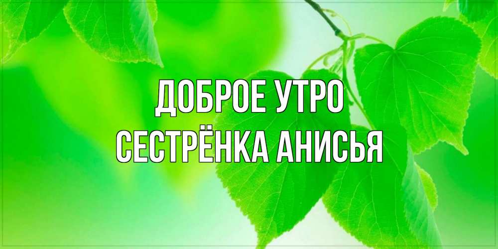 Открытка на каждый день с именем, Сестрёнка-Анисья Доброе утро доброе утро с березовыми листьями Прикольная открытка с пожеланием онлайн скачать бесплатно 