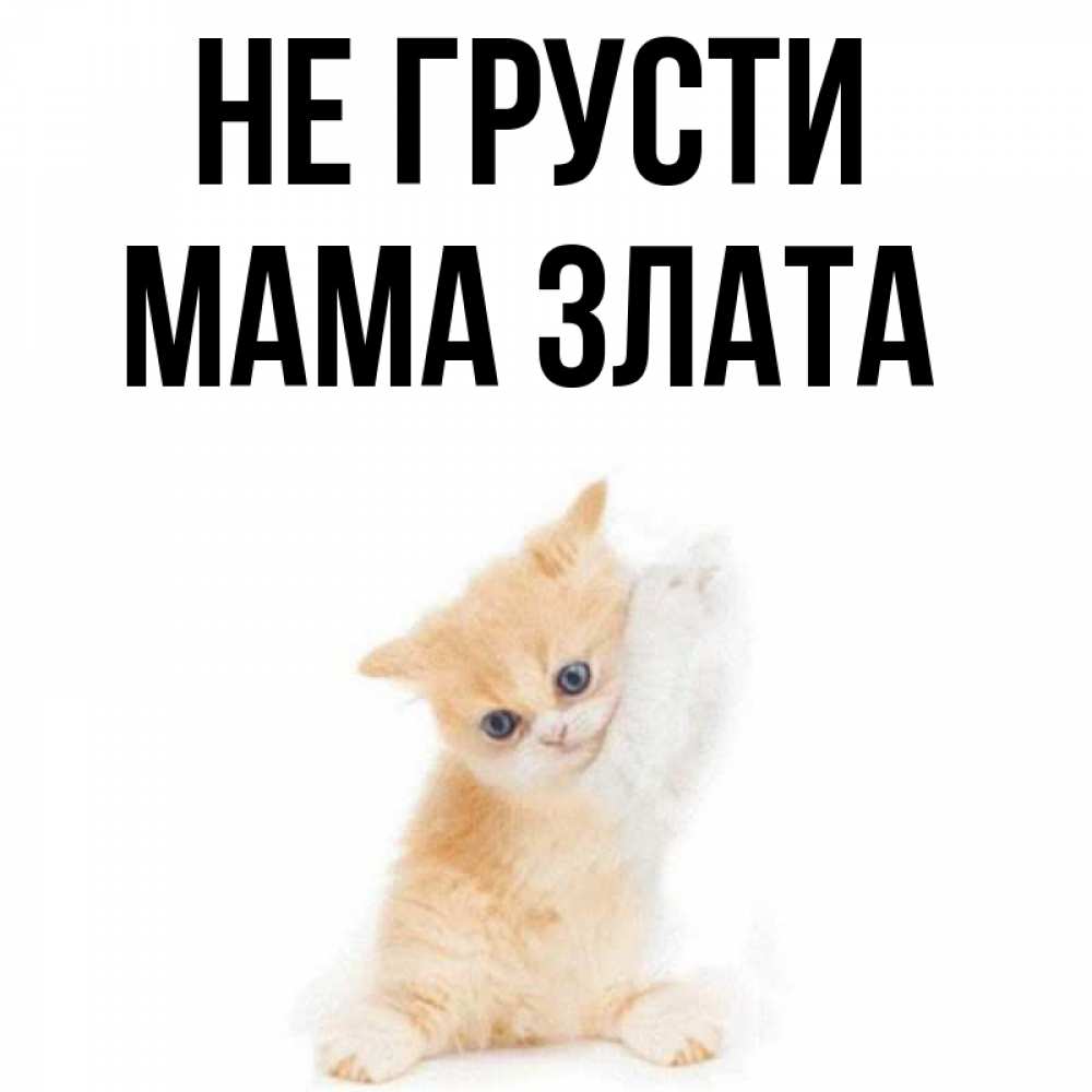 Мама не грусти и меня