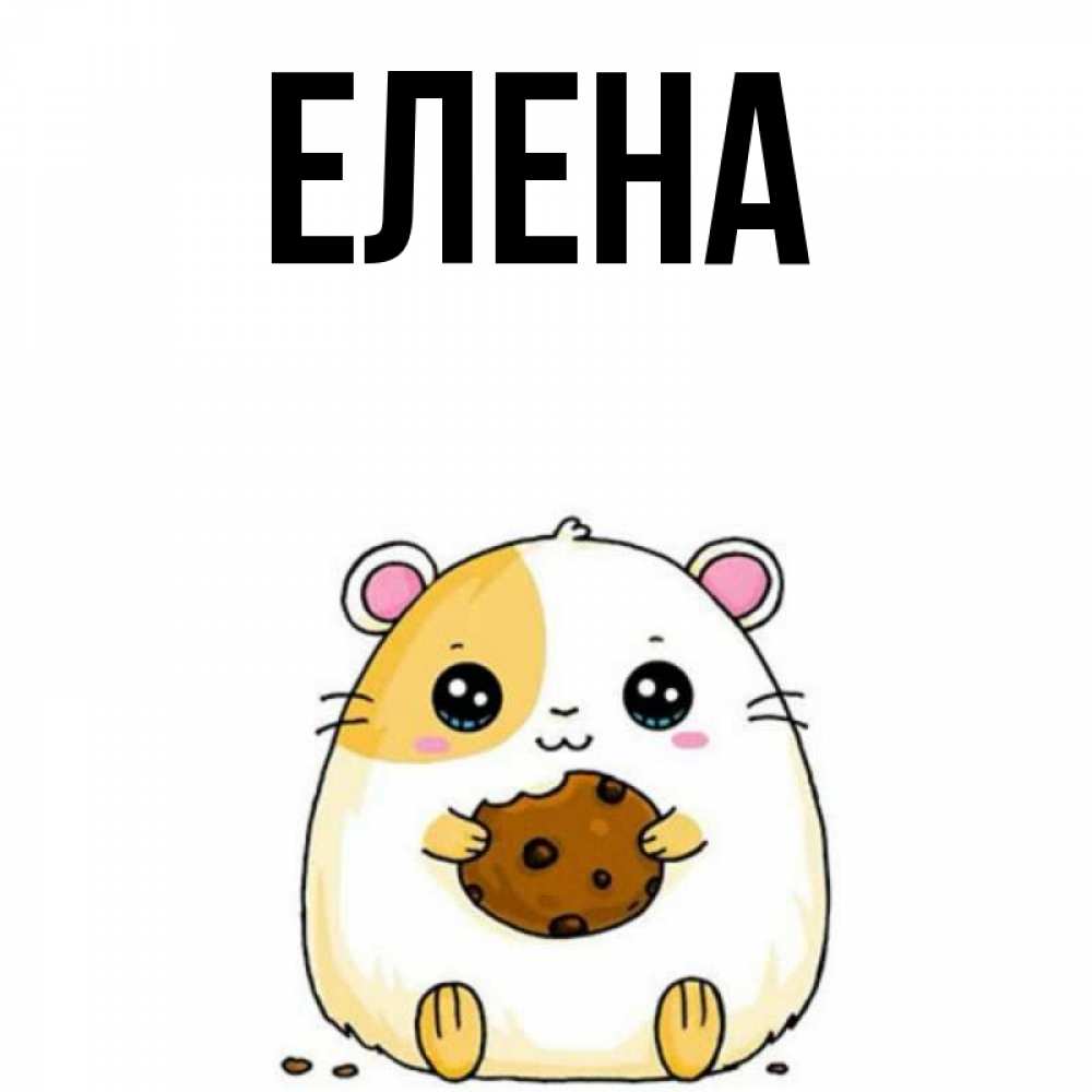 Открытка на каждый день с именем, Елена Главная есть печеньку. Утречко Прикольная открытка с пожеланием онлайн скачать бесплатно 