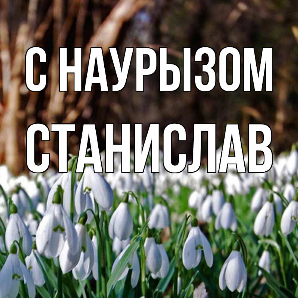 Открытка на каждый день с именем, Станислав С наурызом с подснежниками 1 Прикольная открытка с пожеланием онлайн скачать бесплатно 