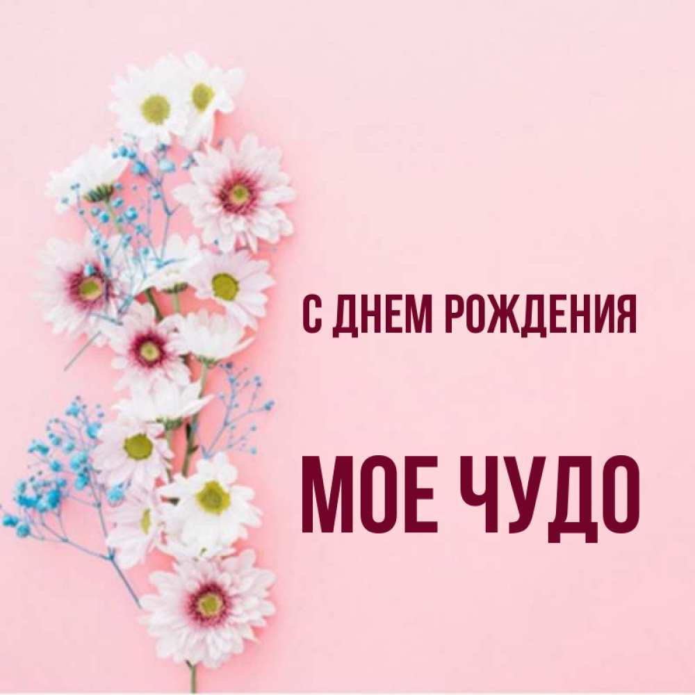 Чудо мое песни