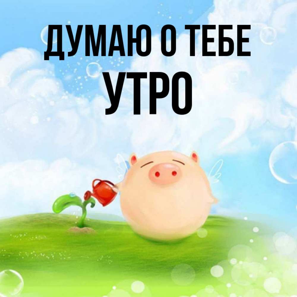 Утро думать