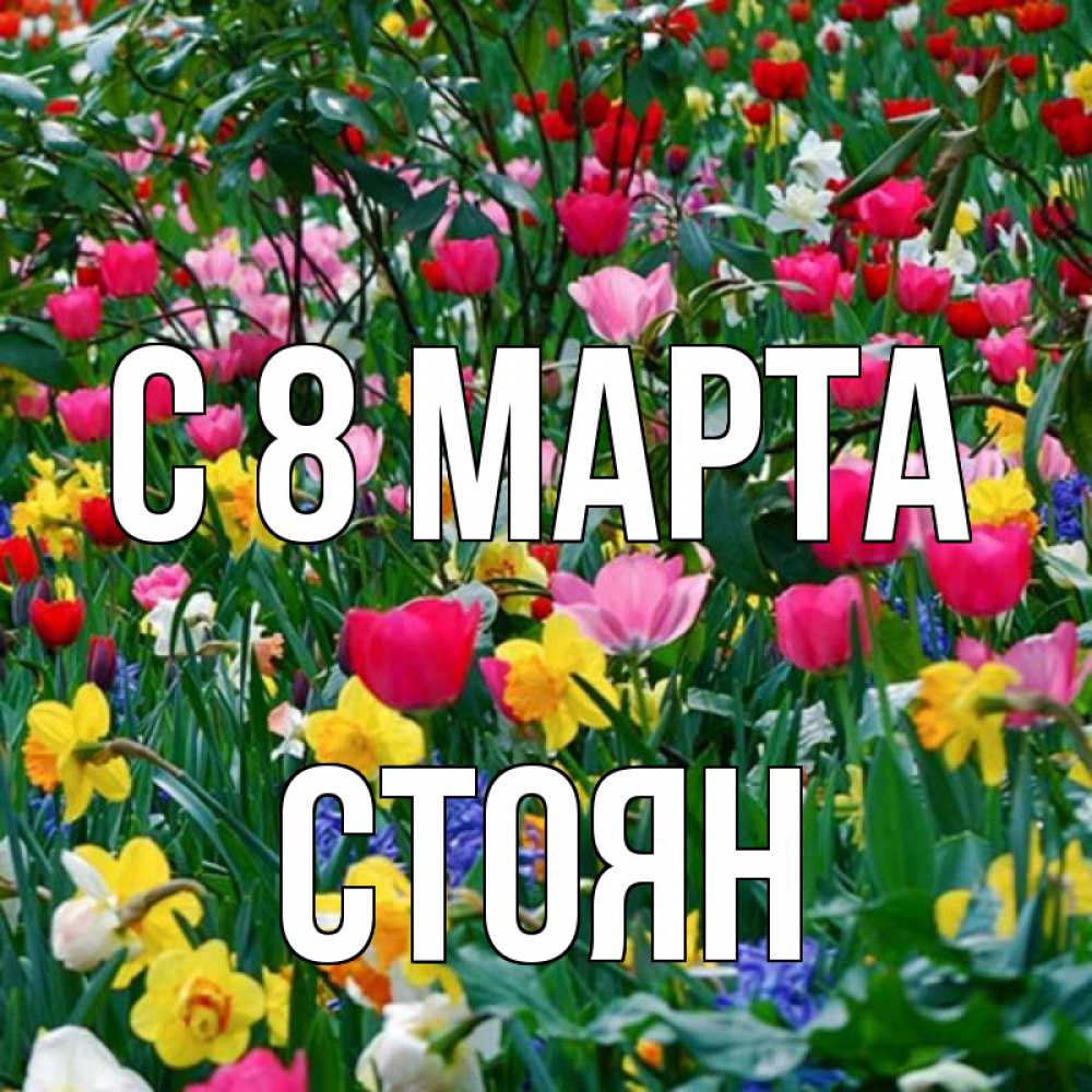 Открытка на каждый день с именем, Стоян С 8 марта с международным женским днем поздравления для женщины Прикольная открытка с пожеланием онлайн скачать бесплатно 