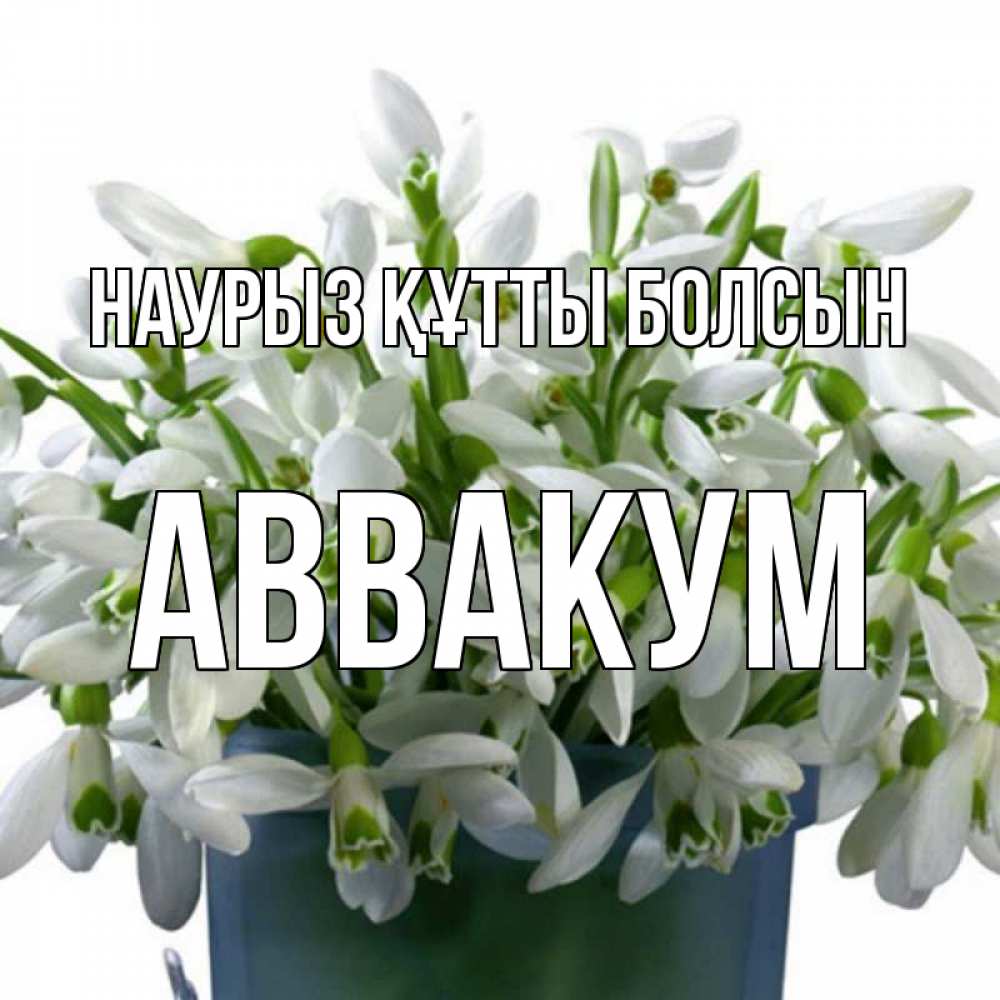 Открытка на каждый день с именем, Аввакум Наурыз құтты болсын цветы к наурызу Прикольная открытка с пожеланием онлайн скачать бесплатно 