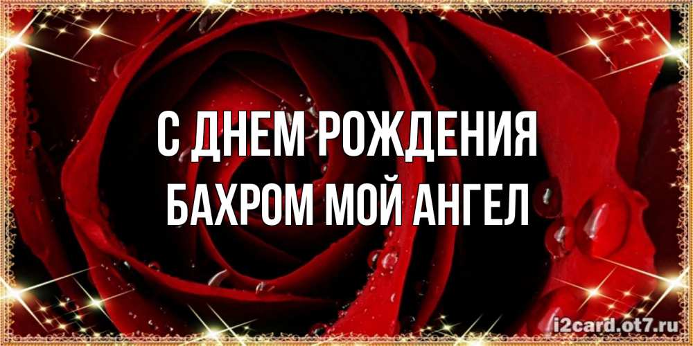 Открытка на каждый день с именем, БАХРОМ-МОЙ-АНГЕЛ С днем рождения цветок в росе на день рождения Прикольная открытка с пожеланием онлайн скачать бесплатно 