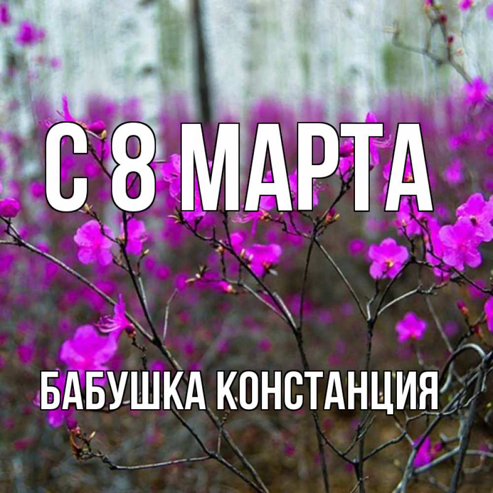 Открытка на каждый день с именем, Бабушка-Констанция С 8 МАРТА дикие цветы Прикольная открытка с пожеланием онлайн скачать бесплатно 
