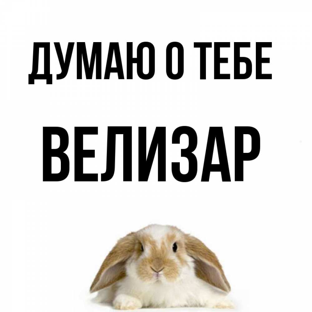 Открытка на каждый день с именем, Велизар Думаю о тебе подписать своими руками онлайн Прикольная открытка с пожеланием онлайн скачать бесплатно 