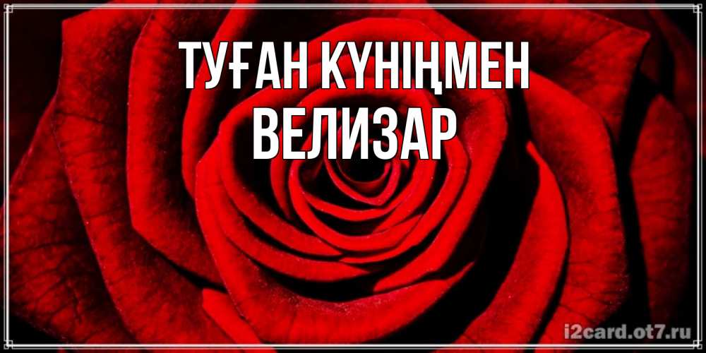 Открытка на каждый день с именем, Велизар Туған күніңмен алая роза Прикольная открытка с пожеланием онлайн скачать бесплатно 