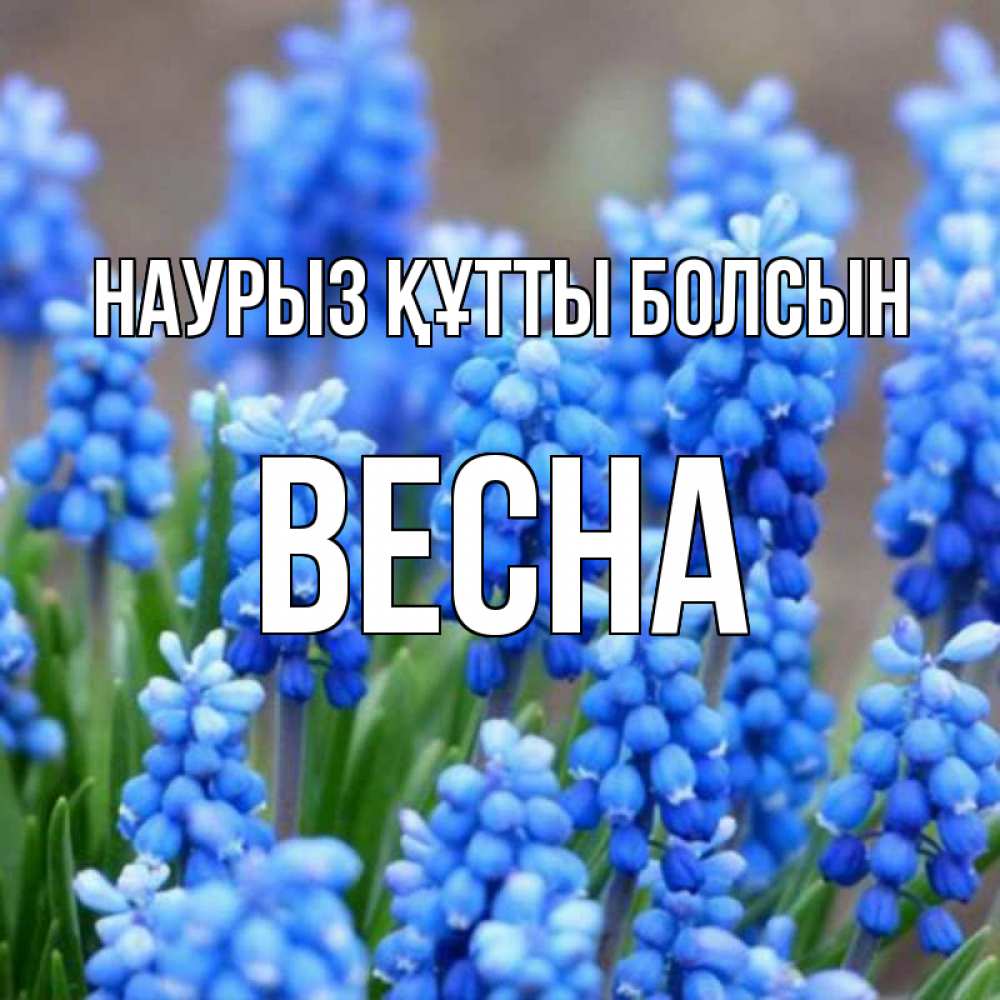 Открытка на каждый день с именем, Весна Наурыз құтты болсын Поздравительная открытка для женщин с цветами на праздничную дату Прикольная открытка с пожеланием онлайн скачать бесплатно 