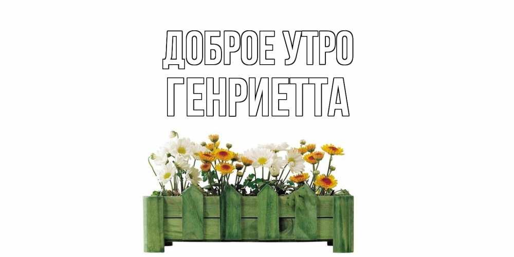 Открытка на каждый день с именем, Генриетта Доброе утро цветы Прикольная открытка с пожеланием онлайн скачать бесплатно 