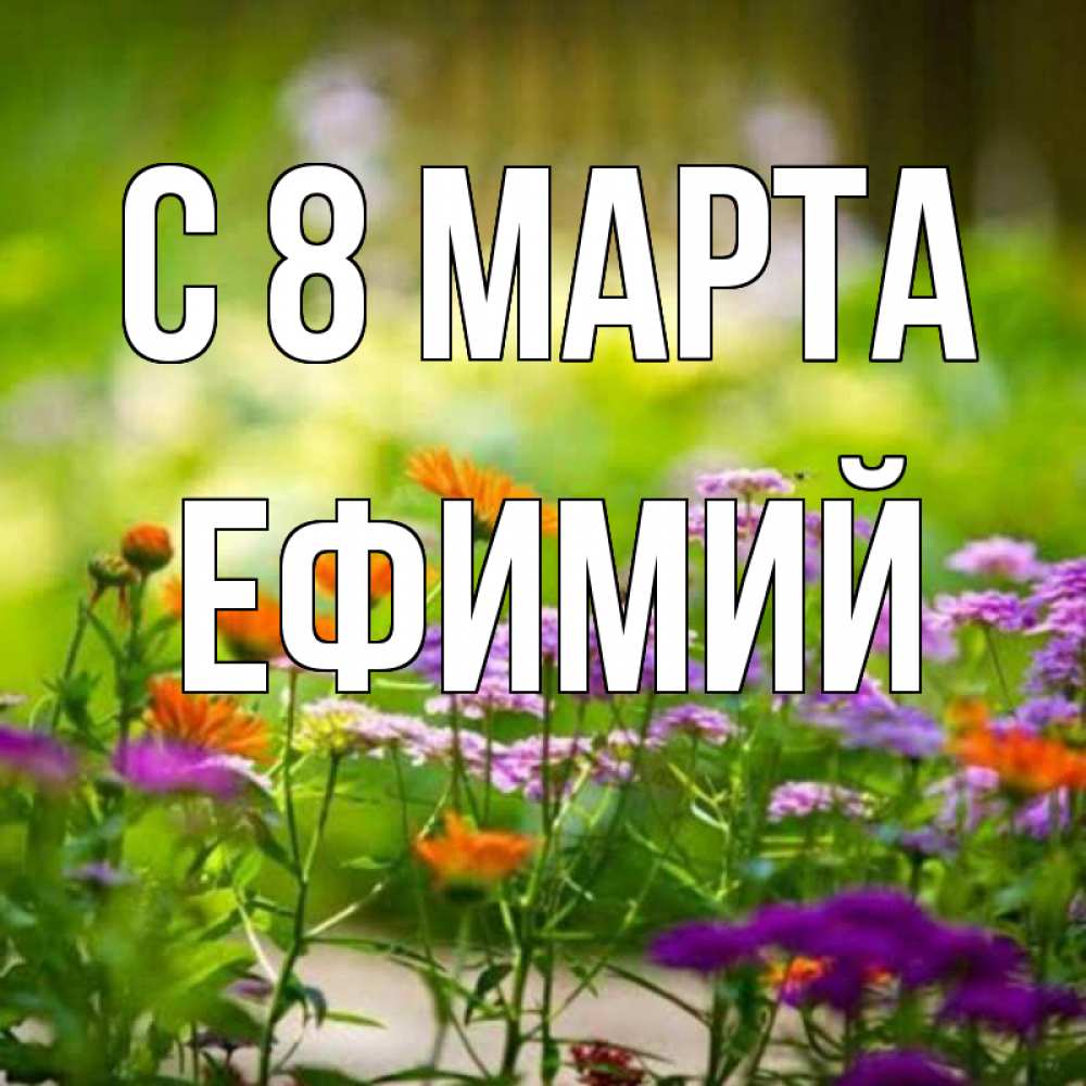 Открытка на каждый день с именем, Ефимий С 8 МАРТА цветы Прикольная открытка с пожеланием онлайн скачать бесплатно 