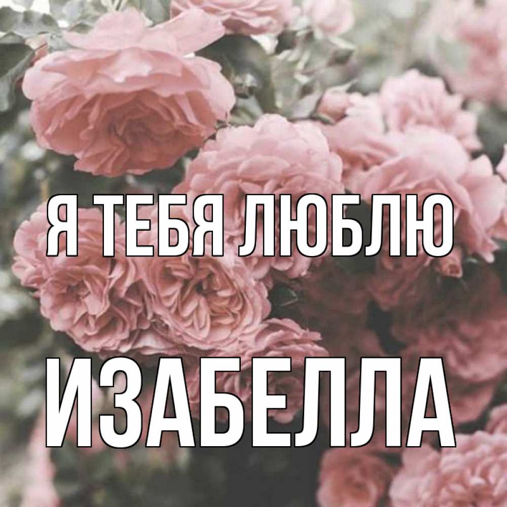 Открытка на каждый день с именем, Изабелла Я тебя люблю розы 3 Прикольная открытка с пожеланием онлайн скачать бесплатно 
