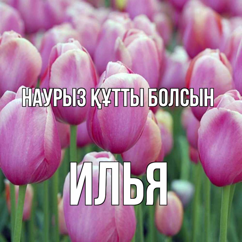 Открытка на каждый день с именем, Илья Наурыз құтты болсын на наурыз  день 3 Прикольная открытка с пожеланием онлайн скачать бесплатно 