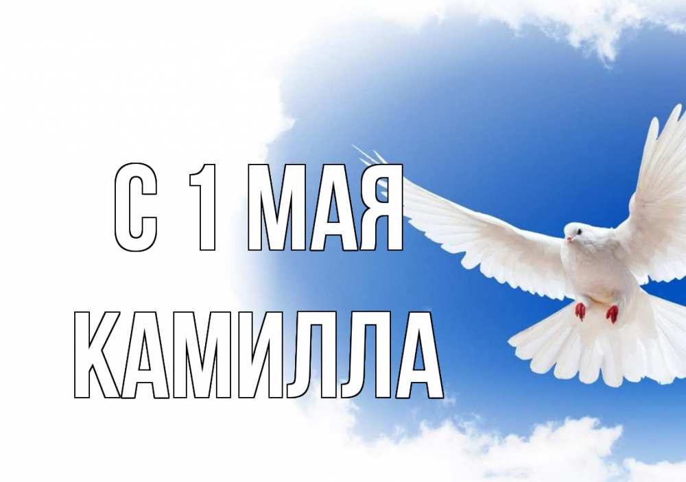 Открытка на каждый день с именем, Камилла С 1 мая С 1 мая Прикольная открытка с пожеланием онлайн скачать бесплатно 
