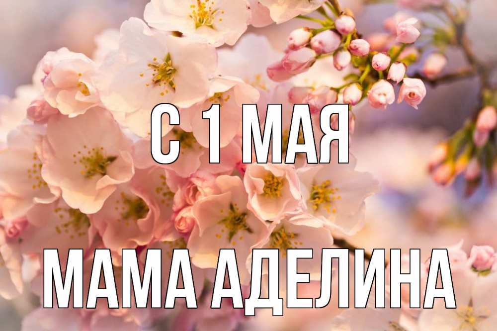 Открытка на каждый день с именем, Мама-Аделина С 1 мая С 1 мая Прикольная открытка с пожеланием онлайн скачать бесплатно 