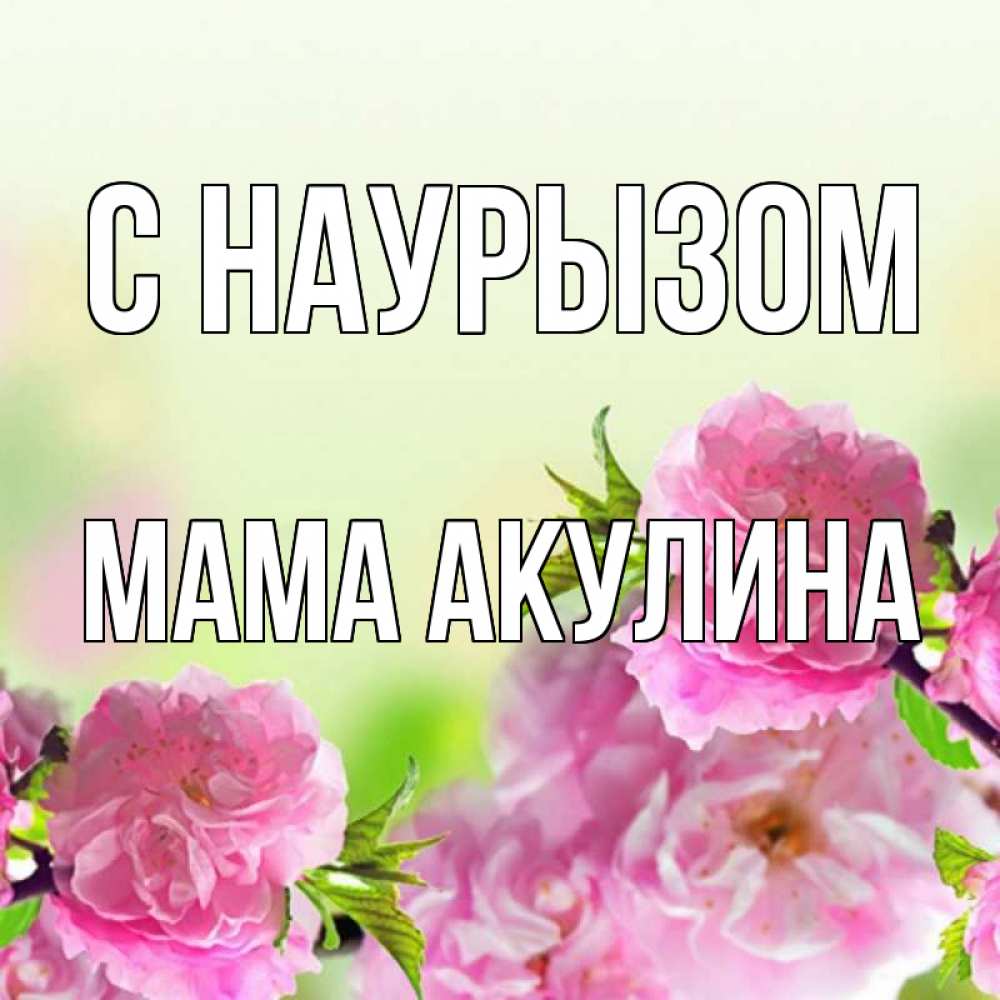 Открытка на каждый день с именем, Мама-Акулина С наурызом цветы Прикольная открытка с пожеланием онлайн скачать бесплатно 
