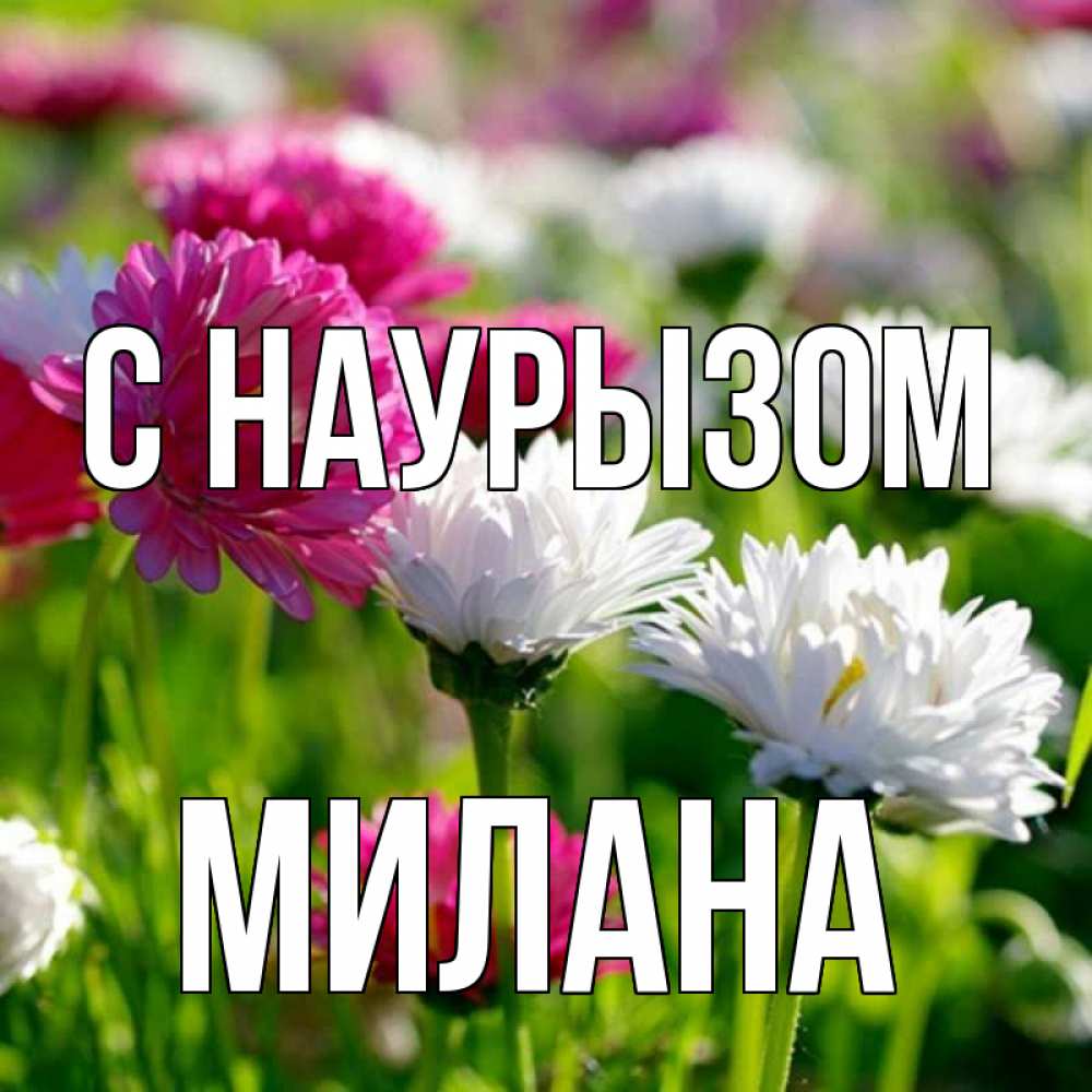 Открытка на каждый день с именем, Милана С наурызом праздник весны наурыз красота Прикольная открытка с пожеланием онлайн скачать бесплатно 