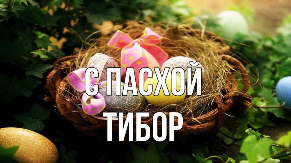 Открытка на каждый день с именем, Тибор С пасхой пасха Прикольная открытка с пожеланием онлайн скачать бесплатно 