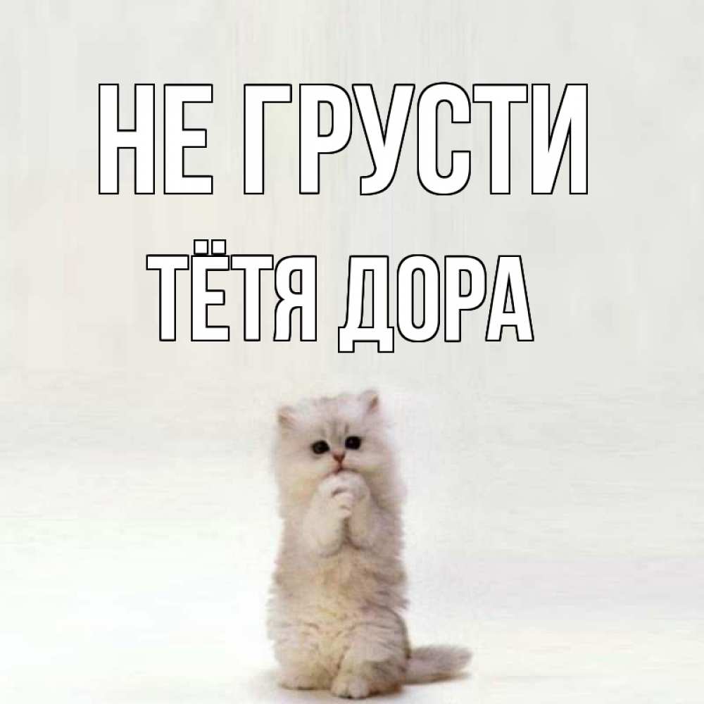 Открытка на каждый день с именем, Тётя-Дора Не грусти грустный кот Прикольная открытка с пожеланием онлайн скачать бесплатно 
