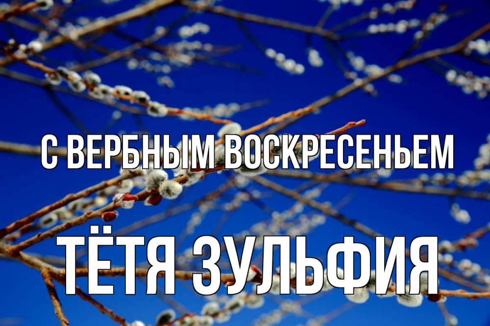 Открытка на каждый день с именем, Тётя-Зульфия С вербным воскресеньем верба Прикольная открытка с пожеланием онлайн скачать бесплатно 
