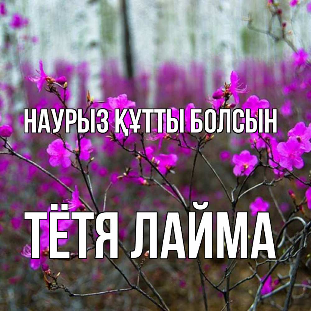 Открытка на каждый день с именем, Тётя-Лайма Наурыз құтты болсын дикие цветы Прикольная открытка с пожеланием онлайн скачать бесплатно 